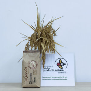 Arroz 20 de Septiembre World Paella Day