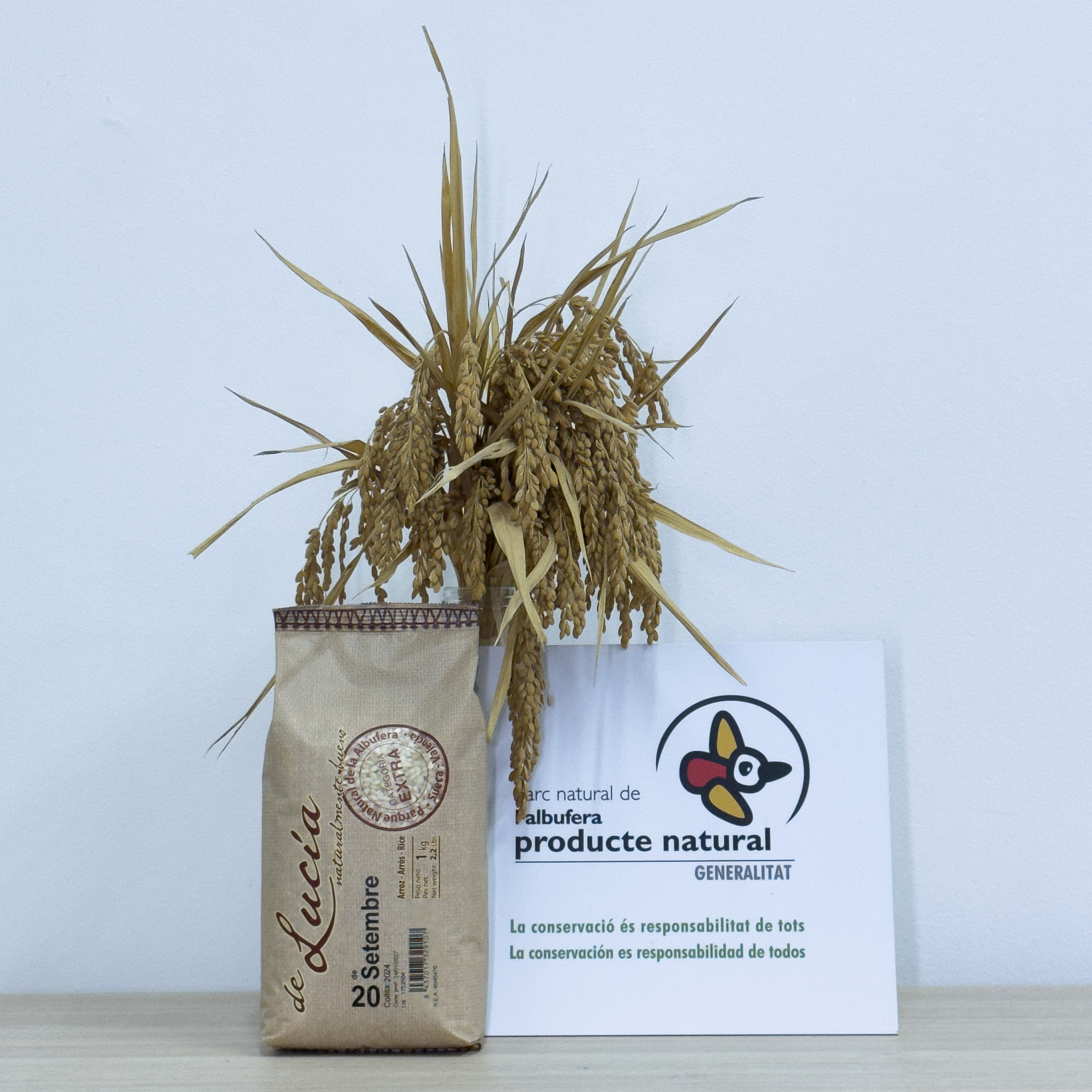 Arroz 20 de Septiembre World Paella Day